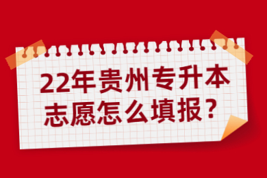 22年贵州专升本志愿怎么填报？